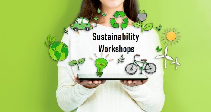 Online environmental conservation workshops
