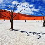 Desert travel destinations for unique landscapes