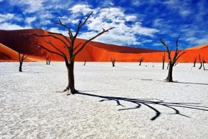 Desert travel destinations for unique landscapes