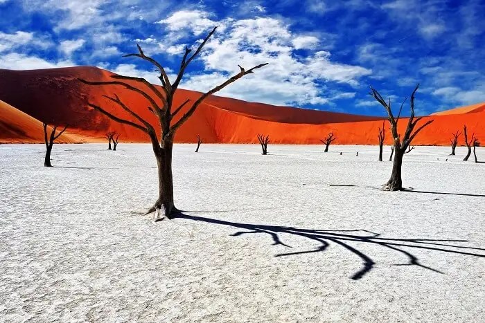 Desert travel destinations for unique landscapes